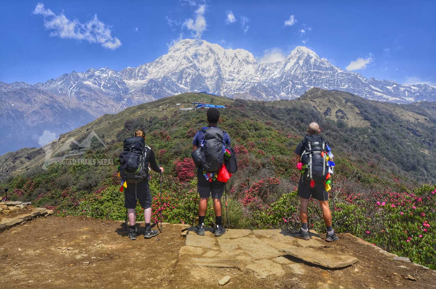 3 days mardi himal trek from pokhara